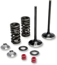 Moose F.E.A. Stainless Steel Valve and Spring Intake Kit w Seals