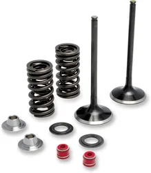 Moose Stainless Steel Valve and Spring Exhaust Kit w Seals