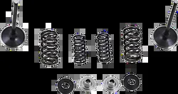 Moose F.E.A. Stainless Steel Valve and Spring Intake Kit