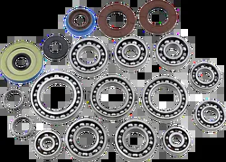 EPI Rear Differential Bearing Seal Kit