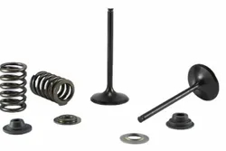 Psychic Intake Valve and Spring Kit