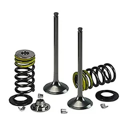 Psychic Steel Intake Valve Kit