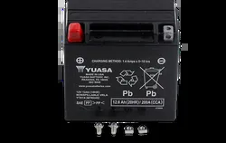 Factory Activated AGM Maintenance Free Battery YTX14