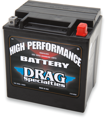 DS Factory Activated AGM Maintenance Free Battery YIX30L