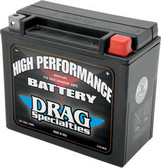 DS Maintenance Free Battery YTX20HL