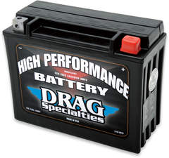 DS AGM Maintenance Free Battery YTX24HL