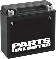Parts Unlimited AGM Maintenance Free Battery YTX20H-BS