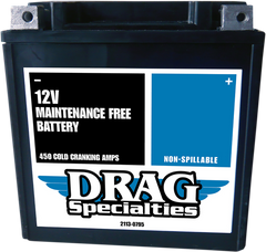 DS AGM Maintenance Free Battery CTX30L FT