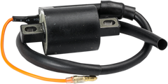 Rick's Electric Ignition Coil