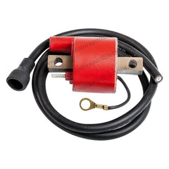 Rick's Electric Ignition Coil