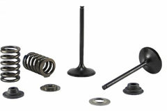 Psychic Exhaust Valve And Spring Kit