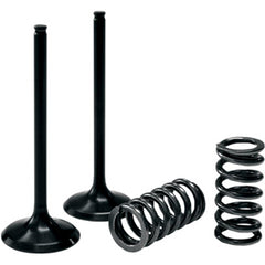 ProX Steel Exhaust Valve and Spring Kit