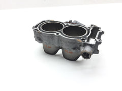 Engine Cylinder Jug 2013 Polaris RZR XP 4 900 2425