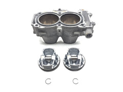 Engine Cylinder Jug W Piston 2016 Polaris RZR XP 1000 EPS 3079