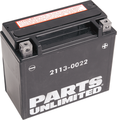 Parts Unlimited AGM Maintenance Free Battery YTX20HL-BS