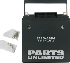 Parts Unlimited AGM Maintenance Free Battery YIX30L