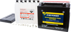 Fire Power Maintenance Free 12V Battery YTX19L-BS
