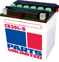 Parts Unlimited HD Maintenance Free Battery YB30L-B